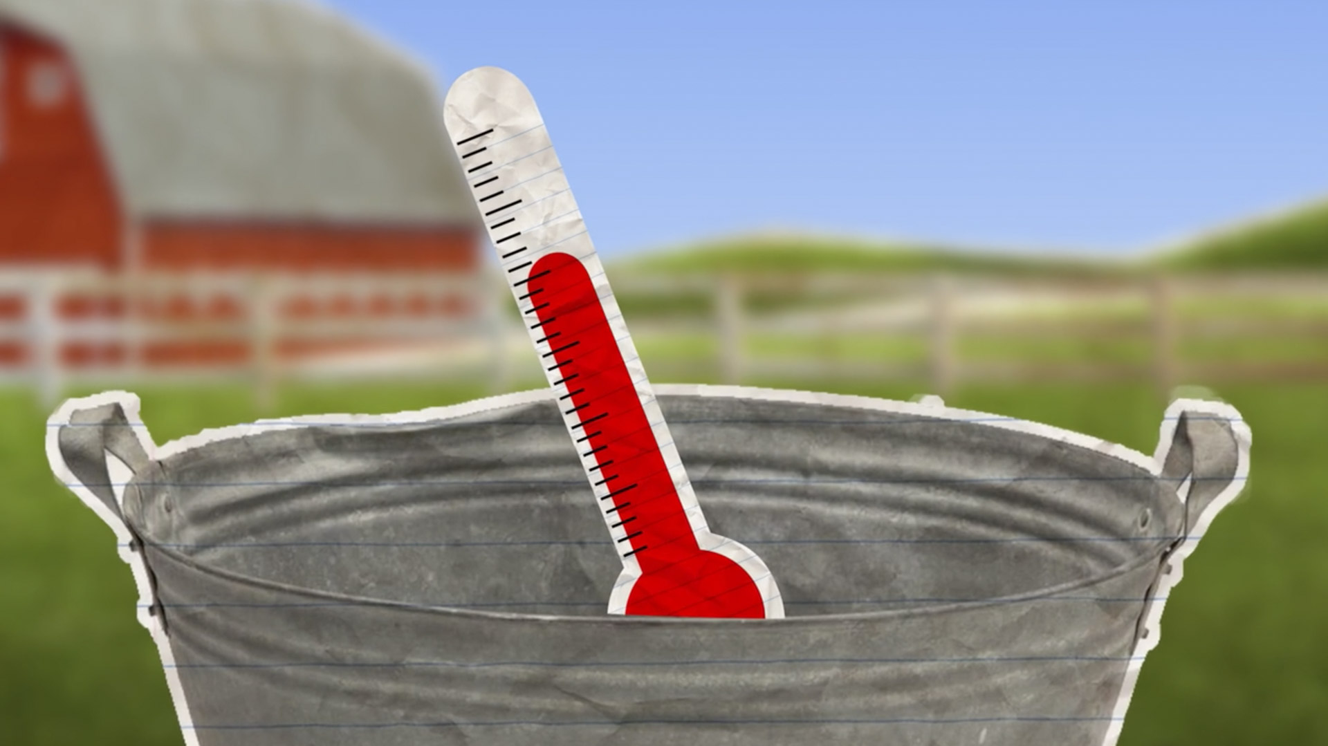 Agrifood Animation 8