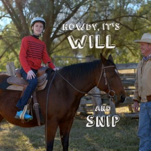 ICC Will and Snip
