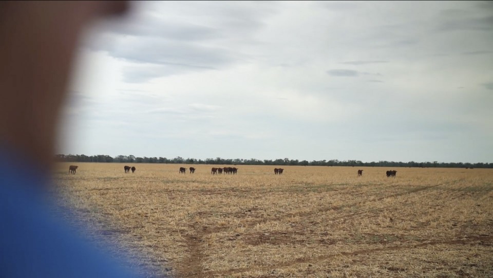Heart of Aust video 4